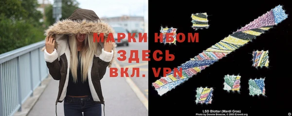 гидра Арсеньев