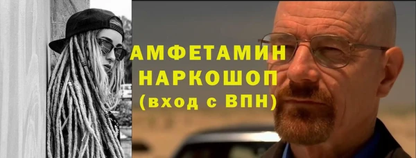 гидра Арсеньев