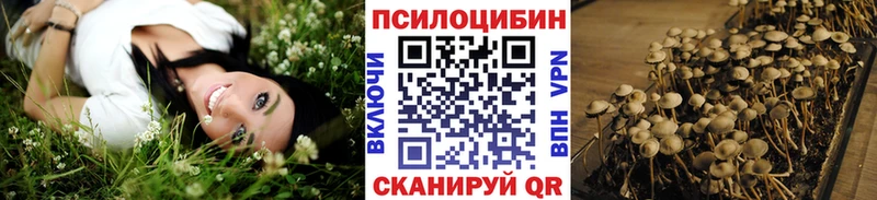 Галлюциногенные грибы прущие грибы  купить закладку  Зеленодольск 